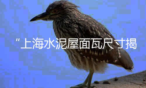摔跤上海石子路、上海卖水泥石子的地方、磨石子水斗上海哪里有卖、上海大港镇收石子电话多少