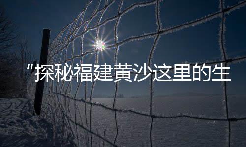 海南黄沙批发价、周边黄沙批发、黄沙手机批发、黄陂黄沙批发