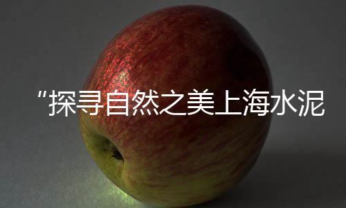 安装水泥管道价格表、建始泰丰水泥价格、江苏水泥稳定碎石价格、福州今日水泥价格查询