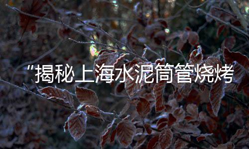 海螺水泥主要市场区域、昆明黄沙水泥批发市场、临平哪个市场卖黄沙水泥、华柏市场周边水泥店