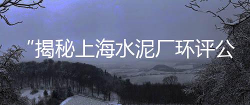 上海漆面石子坑修复师傅、南通拉石子到上海、上海回收白石子价格、上海杨浦再生石子批发
