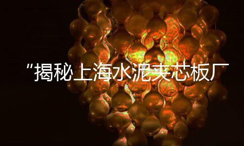 济南水泥花砖市场价、中国水泥出口市场、深圳龙华水泥市场、水泥花盆市场在哪