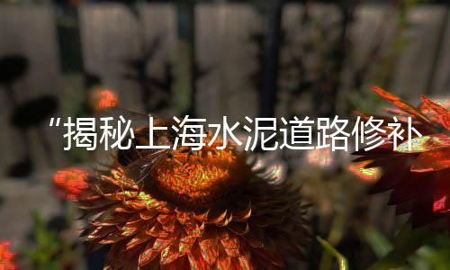 宁乡最新水泥价格表、宁波水泥自流平价格、自流平水泥基价格、曲寨水泥价格表
