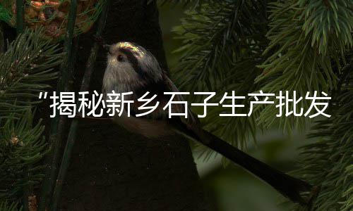 上海到黄沙岛自驾路线、上海黄沙水泥红砖厂地址、上海水泥黄沙批发送货、上海黄沙是哪里运来的