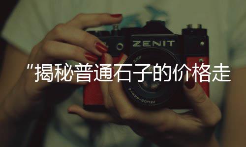 黄沙市场管理问题、黄沙市场和中南批发市场、黄沙市场到环球市场地铁、黄沙市场新市场在哪里建