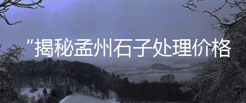 市场水泥的型号和价格、水泥平铺式护坡模具市场、柳州水泥盖板市场地址、新乡卖水泥建材市场
