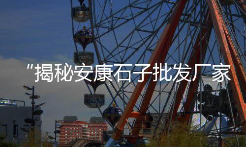 新都区石子批发、北京批发石子眼镜在哪里、北关蒲城石子馍批发、南安石子批发电话地址