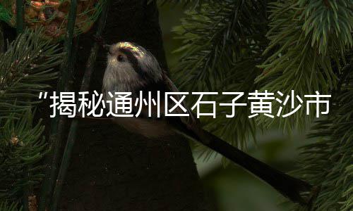 株洲水泥市场整顿、水泥市场分析ppt模板、袋装水泥怎么打开市场、市场上的散装水泥