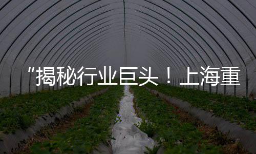 上海地区黄沙水泥批发、上海优质黄沙袋装厂家、上海黄沙港钓鱼收费吗、上海怎么去南汇黄沙滩