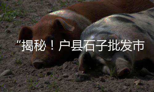 文水水泥零售、港区水泥大沙批发零售地址、水泥厂可以批发零售吗、格尔木祁连山水泥零售