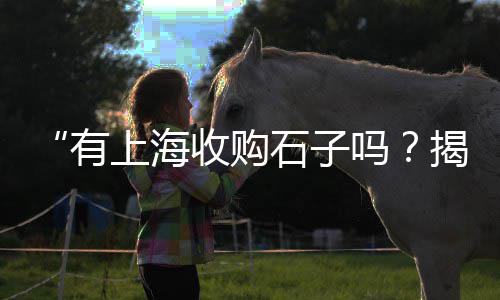 附近零售水泥砖厂、金乡零售水泥、水泥店零售、包场水泥零售