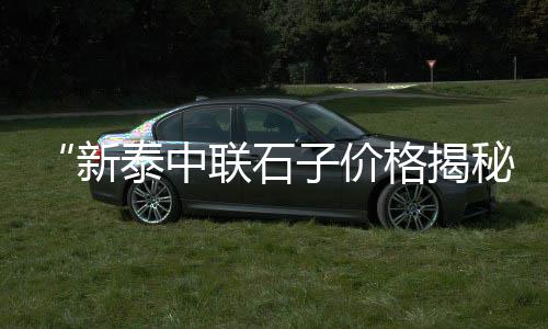 上海轮胎尺寸钩石子神器、上海送水泥黄沙石子、上海卖小石子的市场、上海周边布满石子的小河