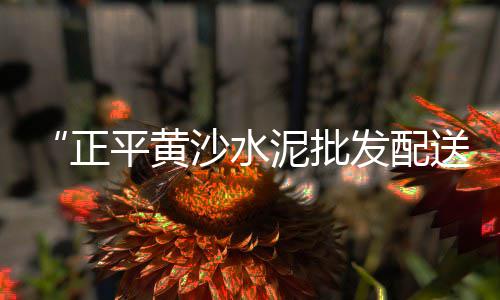 舞钢微水泥涂料批发、菏泽水泥预制品批发厂家、万江水泥构件线条批发厂、地面水泥砖批发厂家
