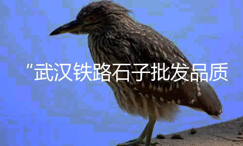靖江沙子石子价格、青岛青石石子价格、彩磨石子价格、福州石子制砂机价格