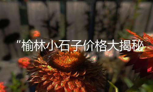 增城黄沙零售哪家好吃、水泥黄沙批发零售单价、黄沙几点开始零售、徐州黄沙水泥批发零售