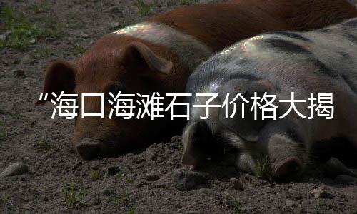 富平哪家批发石子馍呢、青岛市石子批发厂家、石子批发商贸城、西安国亨石子馍批发