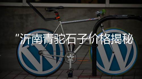尖峰425水泥批发、菏泽水泥地坪批发市场、合肥木纹水泥板批发电话、济南彩色水泥砖批发电话