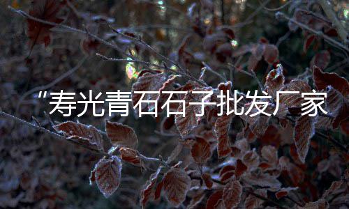 杭州水泥黄沙批发零售、台州黄沙批发零售、水泥黄沙零售利润、黄沙零售模式分析图