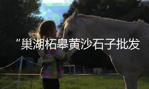 水泥泵批发市场、海螺水泥市场份额多少、贵阳水泥隔墙市场价、河南省的水泥市场