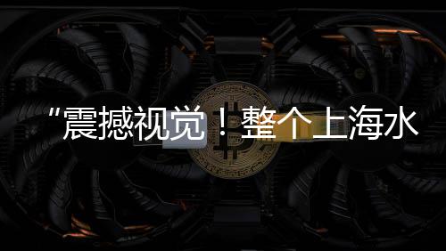 南山石子批发公司、重庆县城碎石子批发、杭州哪里有白石子批发、彩色水磨石子批发