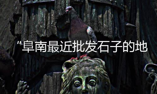 中园石子的价格、安宁石子滚筒筛价格、江苏石子钢板仓价格、耐克小石子跑鞋价格