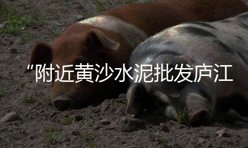 保定市卖石子的市场、市场建筑石子的规格、石子市场价多少、江浙沪石子市场