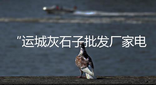 上海建筑石子价格行情、上海景观小石子价格走势、上海产石子破碎机厂家、上海临港黄沙石子批发