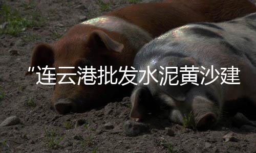 青田石子批发市场地址、陆丰石子批发市场地址查询、禹城市灰石子厂家批发市场在哪、薛城区灰石子厂家批发市场地址
