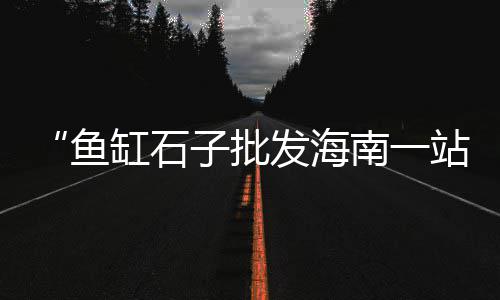 莆田建房石子批发、白云石子批发、张店批发石子市场电话、定州粉色胶粘石子批发