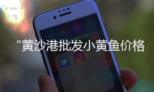 问 上海石子哪儿有买、上海老港再生石子、上海大型石子制砂机、上海川沙再生石子