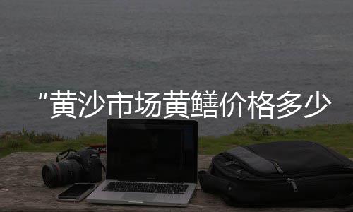 黄沙海虾批发价格、黄沙到十三行批发市场、黄沙港镇海鲜批发市场、汉口建筑黄沙批发价格