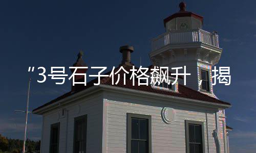 定陶区石子价格、武穴亚东石子价格、石子摇摆筛设备价格、承德地坪石子价格多少