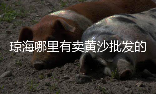 中山门石子零售、芜湖批发零售石子店地址、石子批发零售利润率、东丽周边石子批发零售