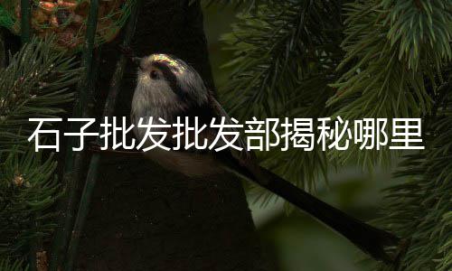 奎文区白石子厂家批发市场在哪、青海破碎石子有市场吗、海安碎石子批发市场、阜南哪里有石子批发市场