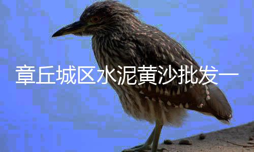 上海黄沙搬运公司地址电话、上海黄沙多少一袋、上海黄沙运输车队电话、上海建材水泥黄沙什么APP