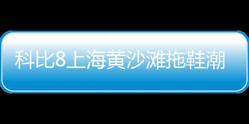 水泥减水剂价格、宁安水泥辊压机价格、昆明路面水泥价格、朔州圈地水泥围墙价格