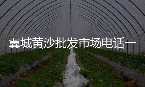 宝坻石子批发厂家、建湖知名石子批发市场、重庆有水磨石石子批发、雨花区白石子批发多少钱
