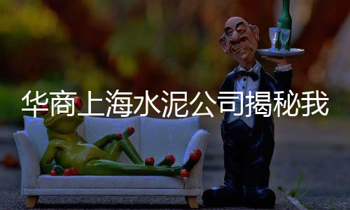 眉山预制水泥管现货市场、九星市场水泥价格多少、新北区水泥市场报价、扩大水泥市场的措施