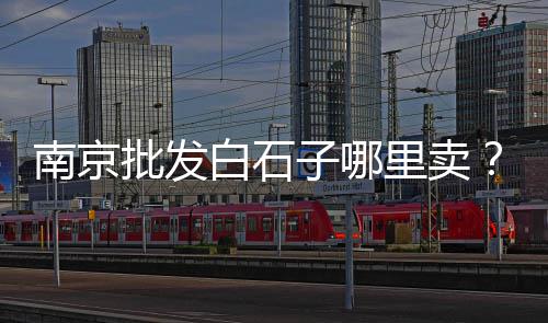 内蒙白石子批发市场在哪、潍坊彩石子批发市场在哪、滨州灰石子批发市场在哪、齐街石子批发市场在哪