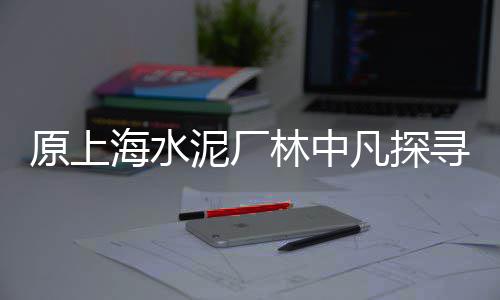 上海建筑石子多少钱一吨、上海黑色玄武岩石子、上海周浦出售再生石子、上海黑色石子厂地址在哪