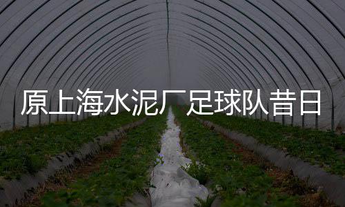 上海青石子销售、上海到福建的拉石子船、上海自留地村里倒石子、上海华漕镇再生石子厂