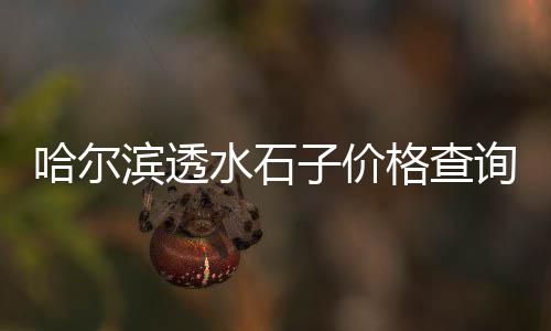 上海送水泥黄沙用什么车、上海宝山黄沙水泥价格、上海黄沙都由哪里进货、上海黄浦江黄沙