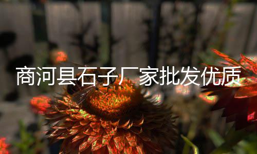 黄沙河河沙批发、汉川飞奔黄沙水泥批发、黄沙鱼头批发厂家、广州黄沙水产花甲批发