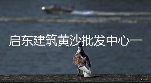重庆河沙水泥价格、南充水泥模具价格、濮阳水泥烟囱拆除价格、保山楼梯水泥价格多少