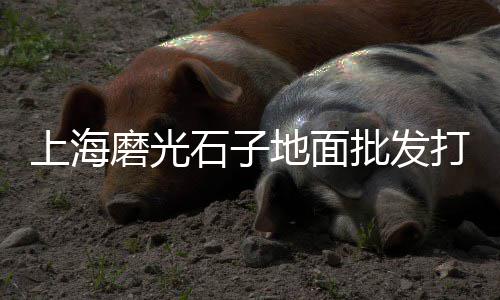 上海水泥制品生产转让网、上海水泥环形电极厂家直销、上海水泥发泡保温板厂家、上海水泥电杆生产厂家