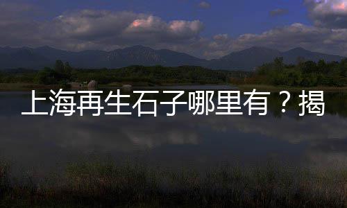 衡水石子零售、零售水泥沙子石子、南河石子零售商、青光镇石子零售店