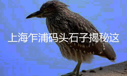 蓟县石子批发商、兴文石子批发运输、常州市石子批发厂家、济南批发石子在哪里啊