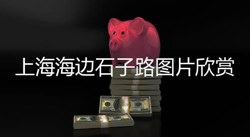 上海建筑用黄沙、本月上海黄沙价格、最近上海黄沙新闻、上海建材黄沙产地