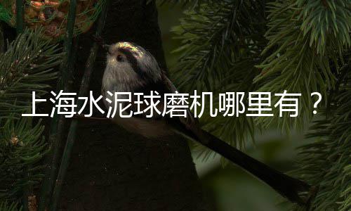 黄沙市场批发大闸蟹、黄沙市场松叶蟹价格表图、黄沙市场卖干货怎么样呀、广州市黄沙市场价格