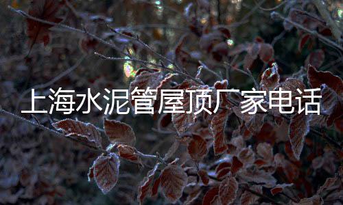 天门黄沙水泥建材市场、水泥空心砖没有市场、芜湖市散装水泥市场、短期乐观水泥市场分析